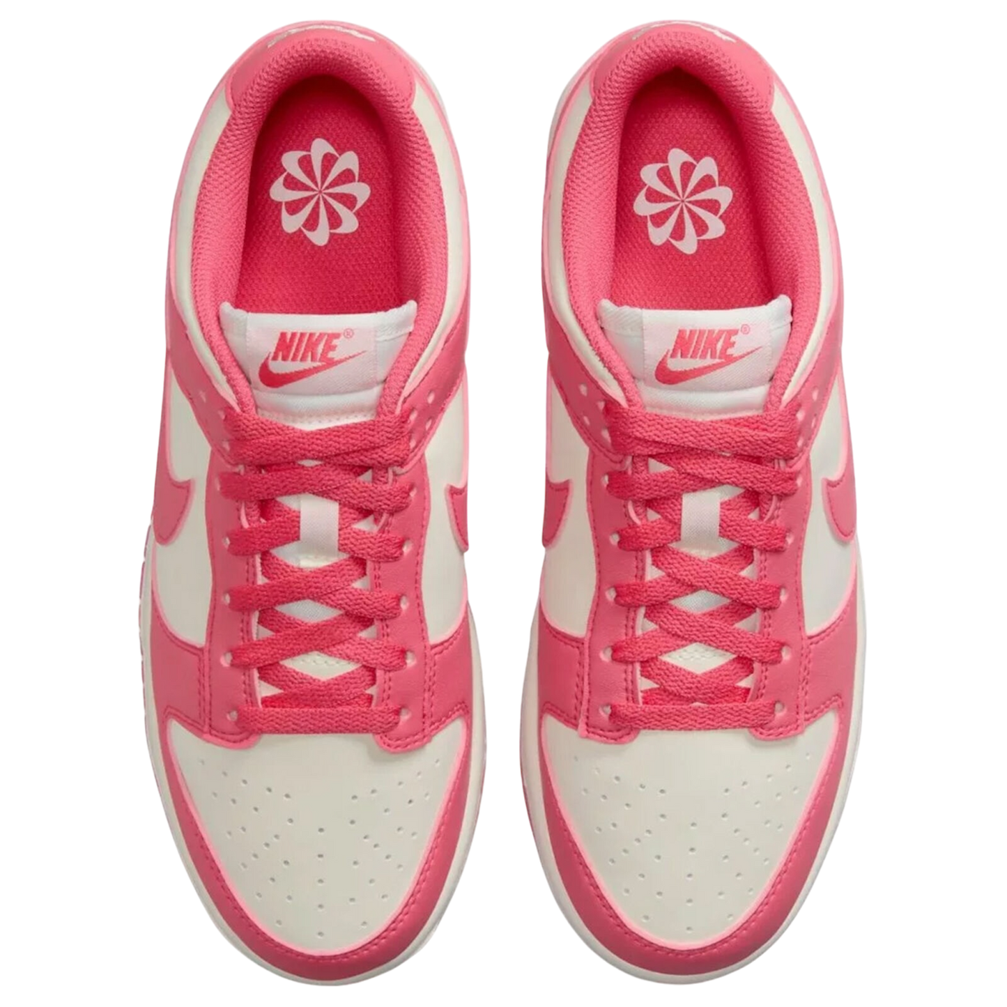 NIKE DUNK LOW ASTER PINK